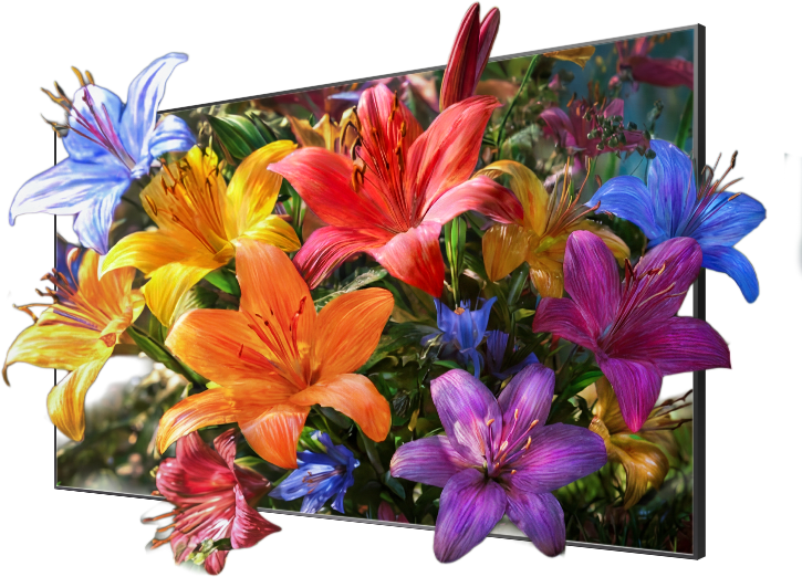 Televisor Hisense Hi-QLED con colores vivos